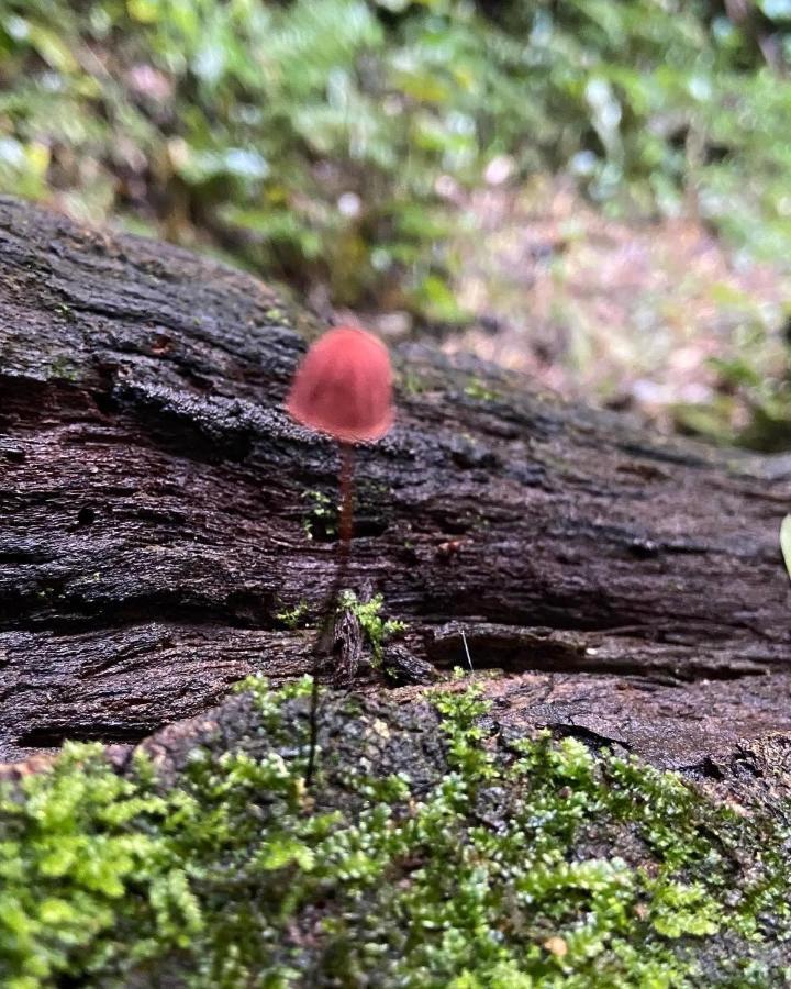 Sitio Metropole - Refugio Na Natureza Piraju Luaran gambar