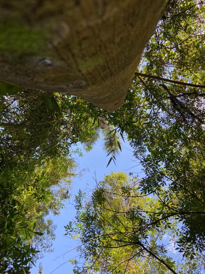 Sitio Metropole - Refugio Na Natureza Piraju Luaran gambar